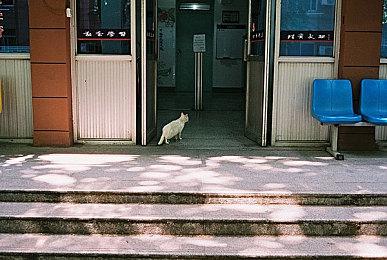 《博德之门3》发布首个补丁  修复存档BUG隐藏版本号