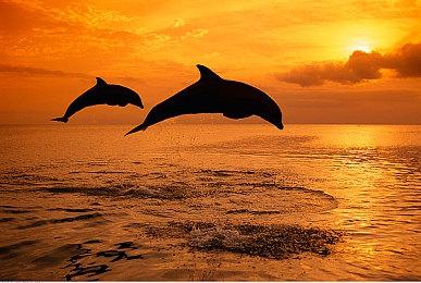 《黑神话》让国外玩家喜欢上悟空 于是打开了《功夫之王》